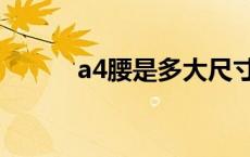 a4腰是多大尺寸（a4腰是几尺）