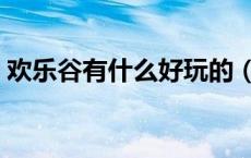 欢乐谷有什么好玩的（欢乐谷有什么好玩的）