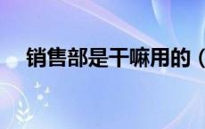 销售部是干嘛用的（销售部是干什么的）