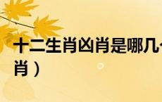 十二生肖凶肖是哪几个（十二生肖凶肖是哪几肖）