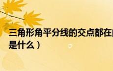 三角形角平分线的交点都在内吗（三角形角平分线的交点都是什么）