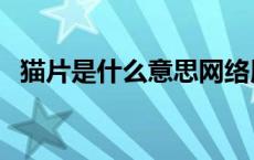 猫片是什么意思网络用语（猫片是什么梗）