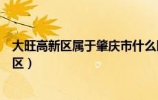 大旺高新区属于肇庆市什么区（肇庆市大旺高新区属于哪个区）