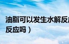 油脂可以发生水解反应吗（油脂可以发生水解反应吗）