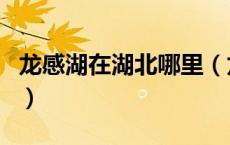 龙感湖在湖北哪里（龙感湖在湖北的什么地方）