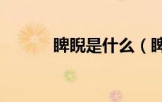 睥睨是什么（睥睨是什么意思）