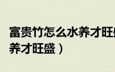 富贵竹怎么水养才旺盛刚买的（富贵竹怎么水养才旺盛）