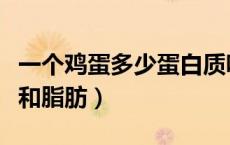 一个鸡蛋多少蛋白质呢（一个鸡蛋多少蛋白质和脂肪）