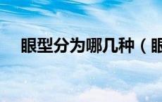 眼型分为哪几种（眼型分为哪几种类型）
