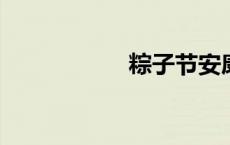 粽子节安康什么意思