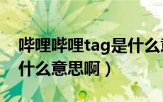 哔哩哔哩tag是什么意思啊（哔哩哔哩tag是什么意思啊）