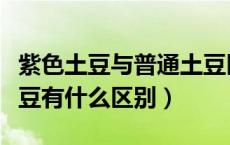 紫色土豆与普通土豆区别（紫色土豆和普通土豆有什么区别）