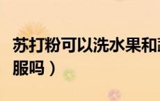 苏打粉可以洗水果和蔬菜吗（苏打粉可以洗衣服吗）