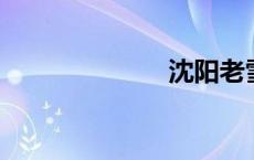 沈阳老雪多少℃
