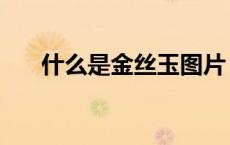什么是金丝玉图片（什么是金丝沙画）