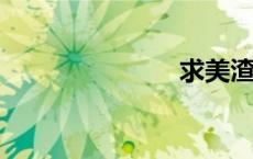 求美渣攻文学