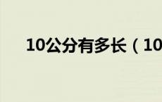 10公分有多长（10公分有多长参照物）