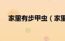 家里有步甲虫（家里青步甲是怎么来的）