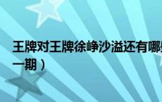 王牌对王牌徐峥沙溢还有哪些人（王牌对王牌沙溢徐峥是哪一期）