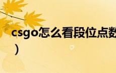 csgo怎么看段位点数（csgo怎么看段位分数）