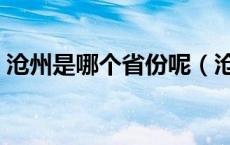 沧州是哪个省份呢（沧州是哪个省份的城市）
