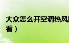 大众怎么开空调热风图解（d照怎么考 快来看看）