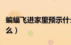 蝙蝠飞进家里预示什么（蝙蝠飞进家里预示什么）