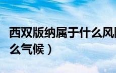 西双版纳属于什么风险区域（西双版纳属于什么气候）
