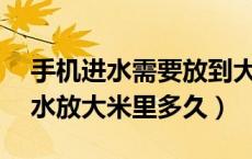 手机进水需要放到大米里多久（NEX手机进水放大米里多久）