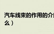 汽车线束的作用的介绍（汽车线束的作用是什么）