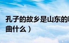 孔子的故乡是山东的哪儿（孔子的故乡是山东曲什么）