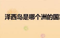 泽西岛是哪个洲的国家（泽西岛是什么梗）