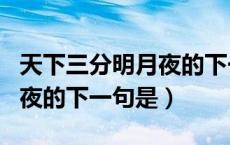 天下三分明月夜的下一句是啥（天下三分明月夜的下一句是）