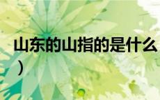 山东的山指的是什么（山东的山指的是哪座山）