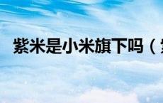 紫米是小米旗下吗（紫米是小米旗下的吗）