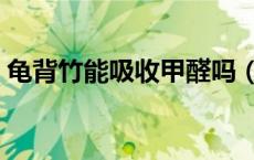 龟背竹能吸收甲醛吗（龟背竹能吸收甲醛吗）