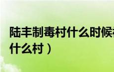 陆丰制毒村什么时候被打击的（陆丰制毒村叫什么村）