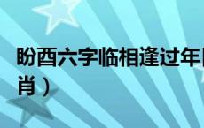 盼酉六字临相逢过年日（盼酉六字临是什么生肖）
