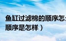 鱼缸过滤棉的顺序怎么放（鱼缸过滤棉放几层顺序是怎样）