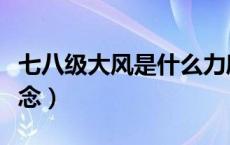 七八级大风是什么力度（七到八级大风什么概念）