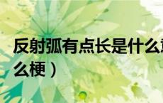 反射弧有点长是什么意思（反射弧有点长是什么梗）