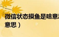 微信状态摸鱼是啥意思（微信状态摸鱼是什么意思）
