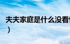 夫夫家庭是什么没看懂（夫夫家庭是什么意思）