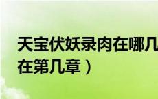 天宝伏妖录肉在哪几章?（天宝伏妖录小说肉在第几章）