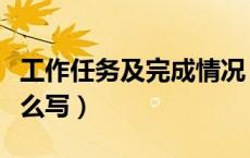 工作任务及完成情况（工作任务及完成情况怎么写）