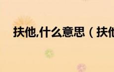 扶他,什么意思（扶他是什么意思网络语）
