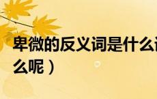 卑微的反义词是什么词语（卑微的反义词是什么呢）