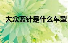 大众蓝针是什么车型（大众蓝针是什么车）