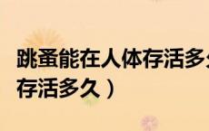 跳蚤能在人体存活多久（跳蚤一般能在人身上存活多久）
