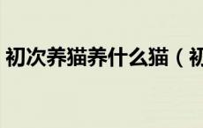 初次养猫养什么猫（初次养猫养什么品种好）